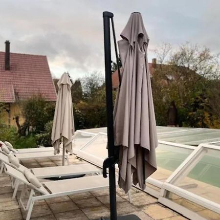Soh Rent Villa Piscine Proche Strasbourg Tv - Wifi - Parking Lampertheim Eksteriør billede